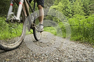 Cyclist On Countryside Track