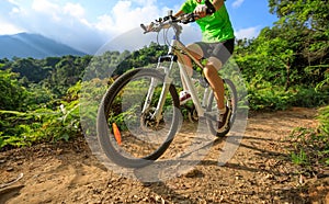 cyclist cycling on forest trail