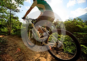 Cyclist cycling on summer forest trail