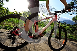 Cyclist cycling on sunrise forest trail