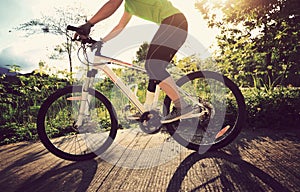 Cyclist cycling on sunrise forest trail