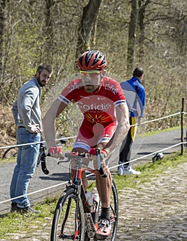 The Cyclist Cyril Lemoine in The Forest of Arenberg- Paris Roubaix 2015