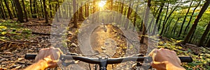 Cyclist enjoying a scenic ride on a lush forest trail with panoramic views of vibrant green trees