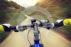 Cyclist hands riding mountain bike on forest trail