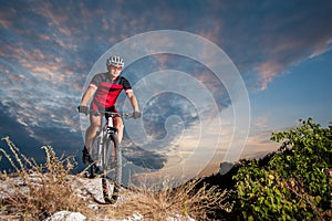 Cyclist on mountain bike races downhill in the nature