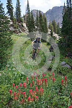 Cyclist in mountains