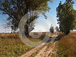 Cyclist near hill top