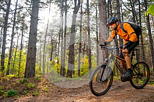 Cyclist in Orange Riding the Mountain Bike on the Trail in the Beautiful Pine Forest Lit by Bright Sun.