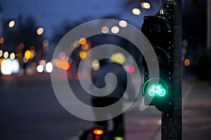 Cyclist passes bicycle traffic light