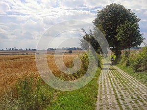 Cyclist in Polish countryside