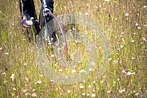 Cyclist rides through the field with wild flowers and yellow grass