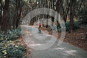 A cyclist rides on a road bicycle on road in woods