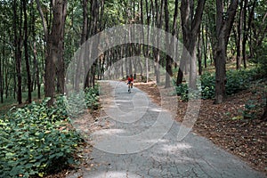 A cyclist rides on a road bicycle on road in woods