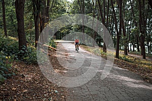 A cyclist rides on a road bicycle on road in woods