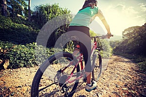 Cyclist riding a bike on a nature trail in the mountains