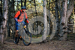 Cyclist Riding the Bike on the Trail in Beautiful Pine Forest. Healthy Lifestyle and Sport Concept.