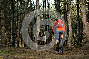 Cyclist Riding the Bike on the Trail in Beautiful Pine Forest. Healthy Lifestyle and Sport Concept.