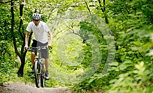 Cyclist Riding the Bike on the Trail in the Forest