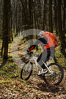 Cyclist Riding the Bike on a Trail in Summer Forest