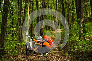 Cyclist Riding the Bike on a Trail in Summer Forest