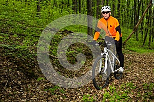 Cyclist Riding the Bike on a Trail in Summer Forest