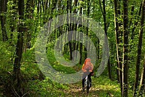 Cyclist Riding the Bike on a Trail in Summer Forest