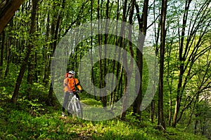 Cyclist Riding the Bike on a Trail in Summer Forest