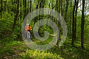 Cyclist Riding the Bike on a Trail in Summer Forest