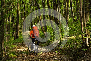 Cyclist Riding the Bike on a Trail in Summer Forest