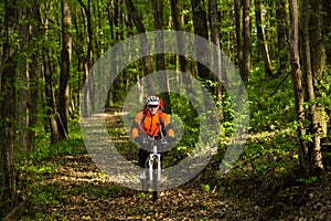 Cyclist Riding the Bike on a Trail in Summer Forest