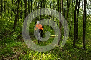 Cyclist Riding the Bike on a Trail in Summer Forest