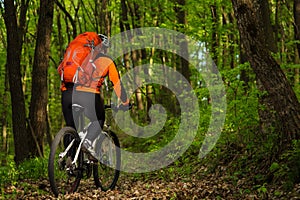 Cyclist Riding the Bike on a Trail in Summer Forest