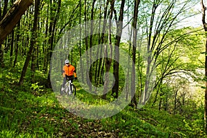 Cyclist Riding the Bike on a Trail in Summer Forest