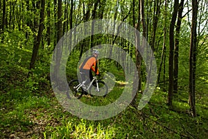 Cyclist Riding the Bike on a Trail in Summer Forest