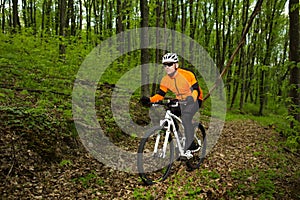 Cyclist Riding the Bike on a Trail in Summer Forest