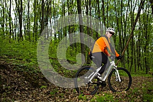 Cyclist Riding the Bike on a Trail in Summer Forest