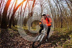 Cyclist Riding the Bike on a Trail in Summer Forest