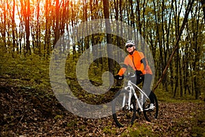 Cyclist Riding the Bike on a Trail in Summer Forest