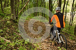 Cyclist Riding the Bike on a Trail in Summer Forest