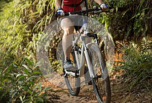 Cyclist riding mountain bike in the forest