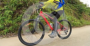 Cyclist riding mountain bike on forest trail