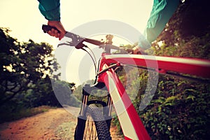 Cyclist riding mountain bike on forest trail