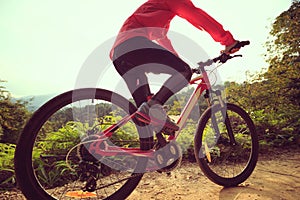 Cyclist riding mountain bike on forest trail