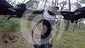 Cyclist riding mountain bike on forest trail