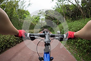 Cyclist riding mountain bike on trail