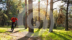 Cyclist Riding Mountain Bike on the Trail in the Beautiful Pine Forest under the Sun. Adventure and Travel Concept.