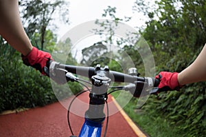 Cyclist riding mountain bike on trail in forest