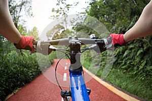 Cyclist riding mountain bike on trail in forest