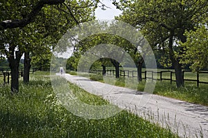 Cyclist On The Road