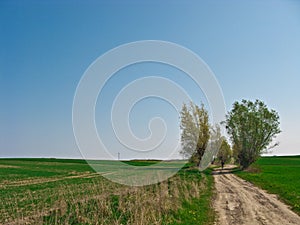 Cyclist in spring dirt path